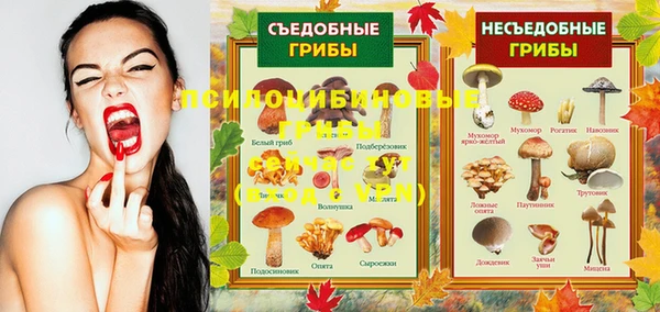 спиды Корсаков