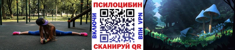 Псилоцибиновые грибы Psilocybe магазин продажи наркотиков Артём